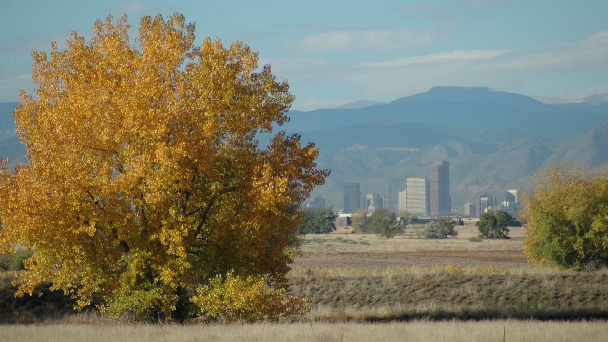 Downtown Denver skyline in front of the Rocky Mountain foothills in autumn